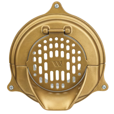 Gold Wallflower